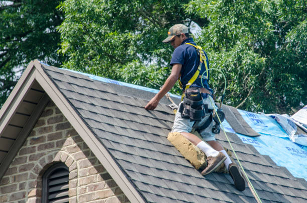 Best Roof Gutter Cleaning  in Fairway, KS